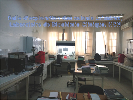 lab-biochimie2